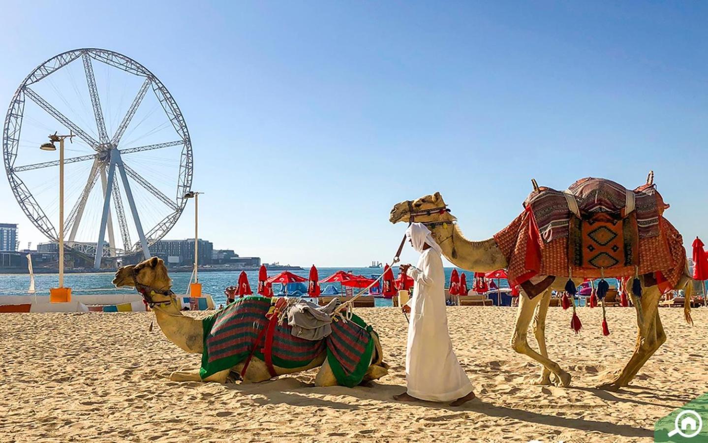 Murjan Jbr Apartments By Happy Season Dubai Buitenkant foto